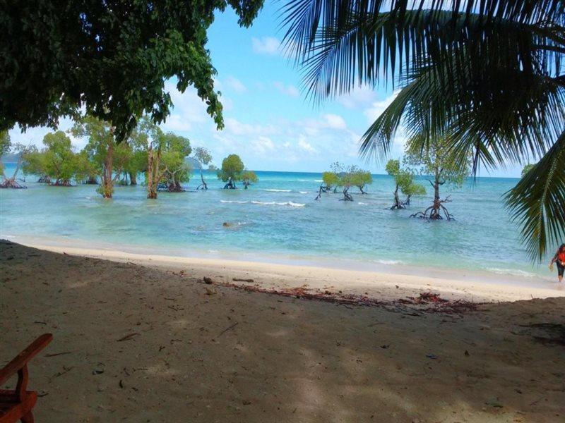 Coconhuts Beach Resort Lakshmanpur Exterior foto